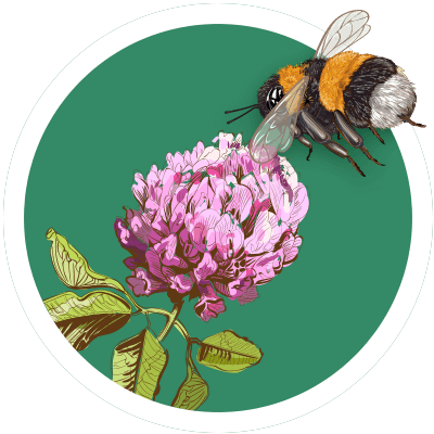 No Pesticides or Herbicides